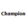 Champion Elettra 160 with 35cm (14") bar